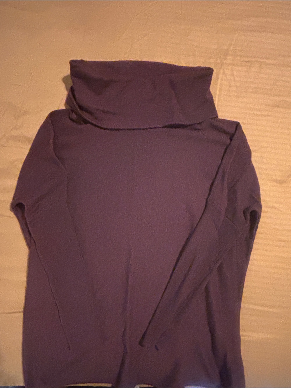 Smart Wool Dark Purple Long Sleeve Cowl Neck Sweater